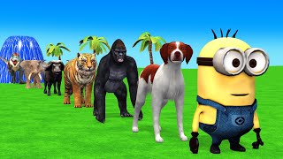 Long Slide Game With Cow Elephant Gorilla Hippopotamus Tiger - 3d Animal Game - Funny 3d Animals
