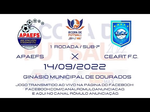 #044 2a Copa Abevê/Leve Max de Futsal - 2° Dia /  APAEFS X CEART F.C