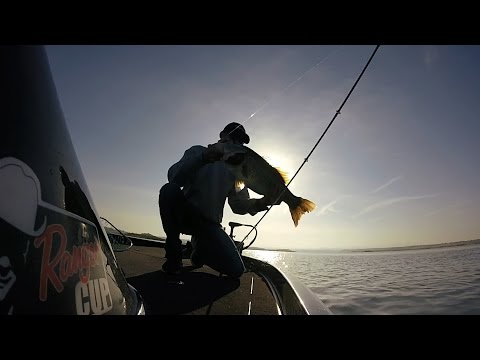 GoPro: Ryan Bochmann - Best Catch 5.27.15 - Fish