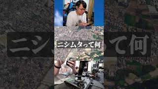 九州は何でもデカい