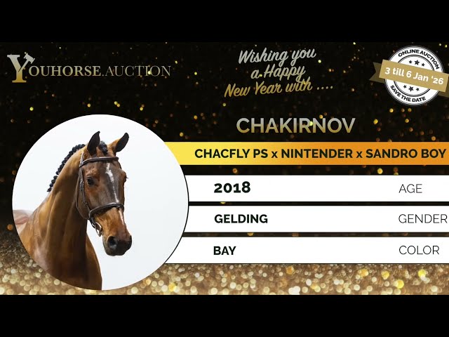 Chakirnov PS showvideo November
