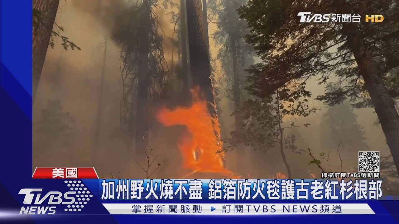 極端氣候反撲! 強生聯大喊話:人類該長大對抗