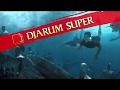Djarum Super Foil Surfboard