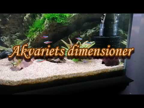 Sommer 2022 - Stadig i live!