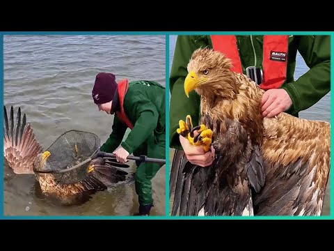 Random Acts of Kindness That Will Make You Cry !