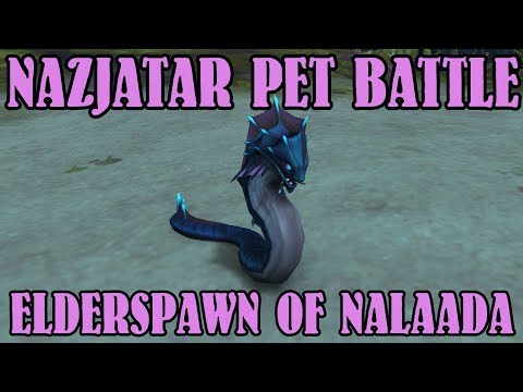 WoW BfA 8.2 Nazjatar pet battle: Elderspawn of Nalaada