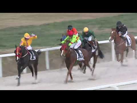 2023.03.26. 04. futam - PESTMEGYEI HENDIKEP (I.o.) (szintetikus pálya)