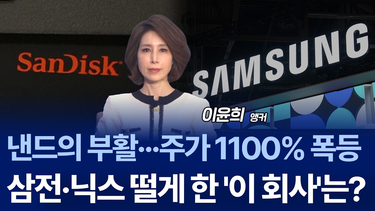 HBM만 아니었다… 급부상한 NAND의 반격