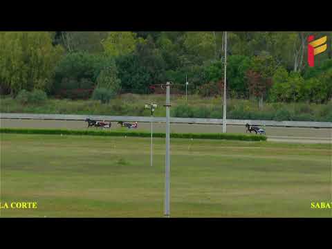 Prova di qualifica del 19 novembre 2022 - 2 Anni - Metri 1600