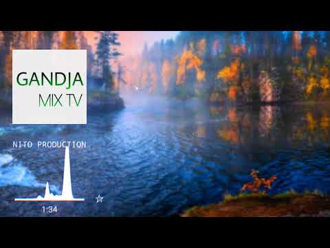 NITO_PRODUCTION_X_GAPPY_RANKS_-_REGULAR_(N_riddim)