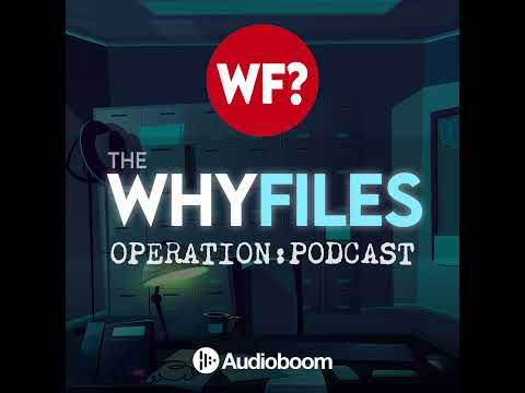 560: Operation Gladio | How The Mob Financed The CIA's Secret Army