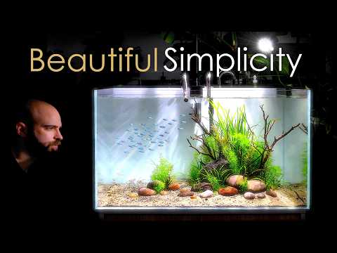 I Removed Everything From This Aquarium... And It Worked