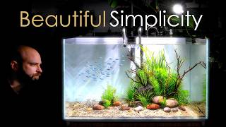 I Removed Everything From This Aquarium... And It Worked