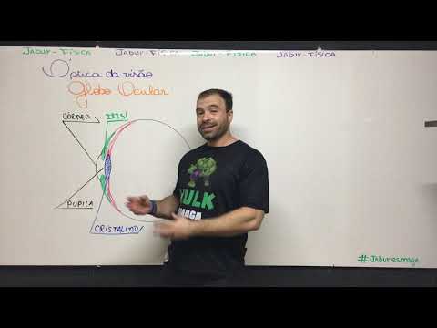 Óptica da Visão 1 -  Globo Ocular