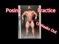 Physique Update | 203lbs | Bodybuilding Posing Practice - 13 Weeks Out