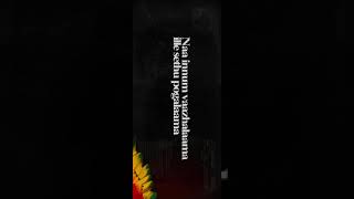 Download lagu Santesh kili full screen hd what's app status 4 mp3 Download lagu Santesh kili full screen hd what's app status 4 mp3