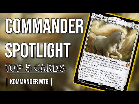 Kommandanten im Fokus – Emiel der Gesegnete