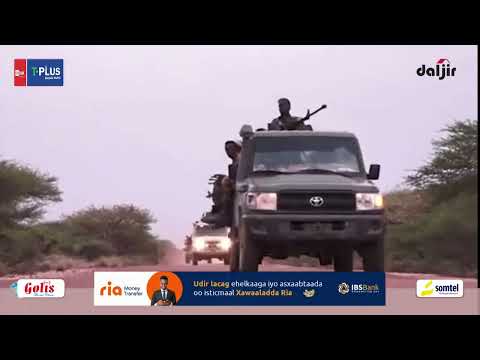 Gabaygii Nabada iyo Abwaan Aamina Abshir Juldhe