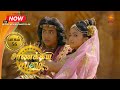 சாணக்கிய சபதம் பாகம் 56 Chanakiya Sabatham Episode 56 Swastik Ta