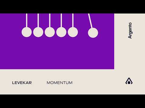 Levekar - Momentum