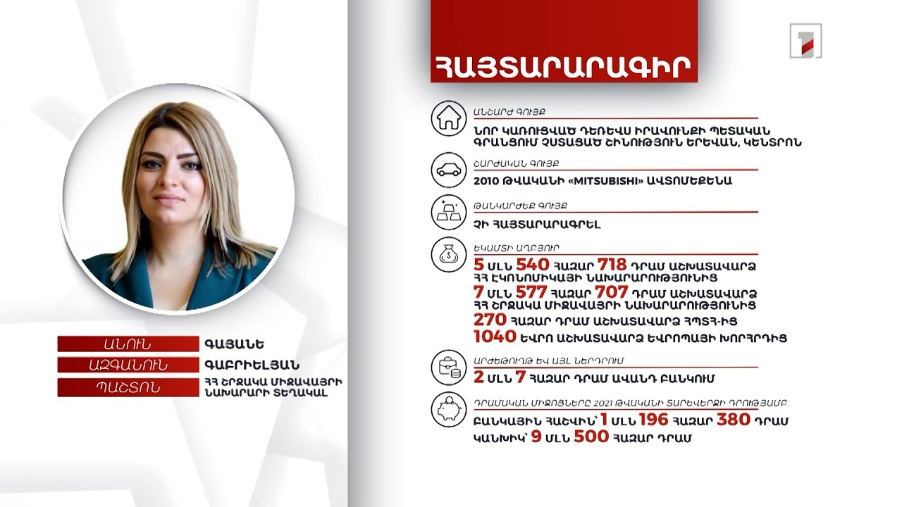 1 անշարժ գույք, ավտոմեքենա. ՀՀ շրջակա միջավայրի նախարարի տեղակալ Գայանե Գաբրիելյանի հայտարարագիրը
