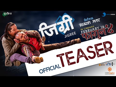 Jigree Teaser