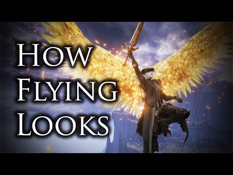 What if You Could Fly?