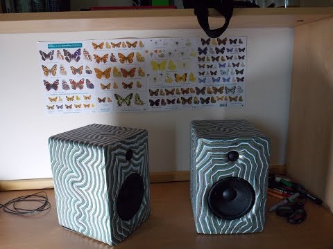 I Customised My Speakers with a Thousand Lines!