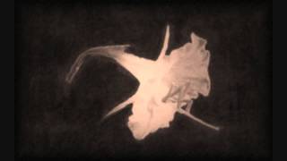 Kellermensch - Moribund Town