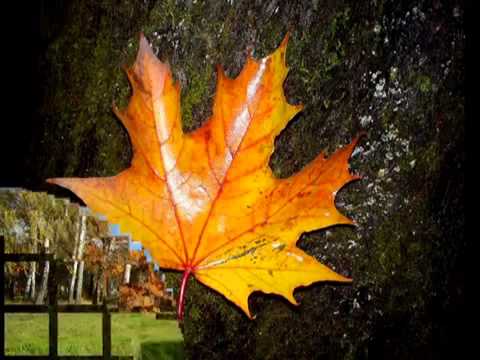 Besik Kalandadze (Via 75) - Giorgobistve