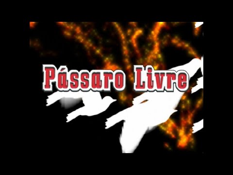 Pássaro Livre - Ao Vivo Em Aracajú-SE (DVD Completo)