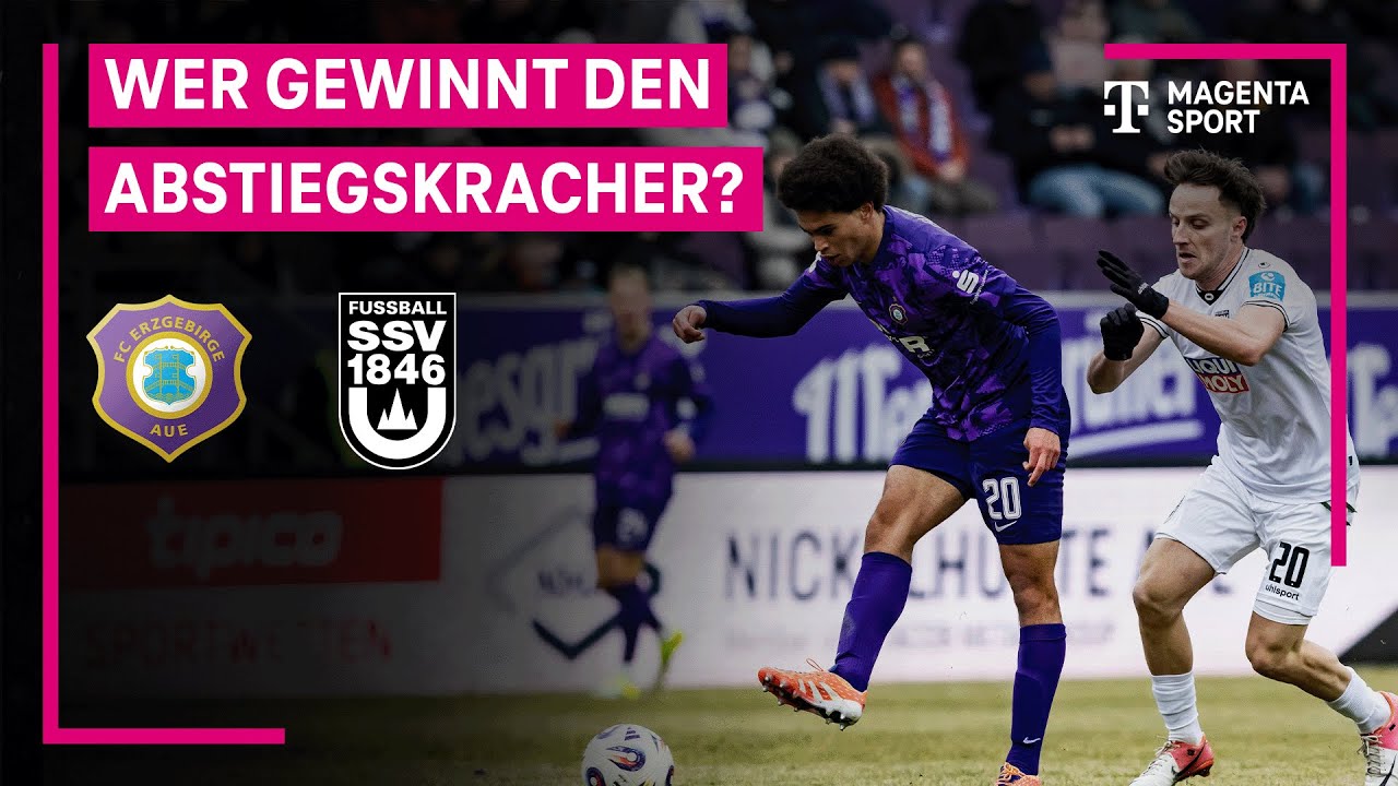 Erzgebirge Aue vs SSV Ulm 1846 Highlights