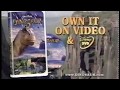 Disney's Dinosaur VHS and DVD Release Ad #1 (2001)