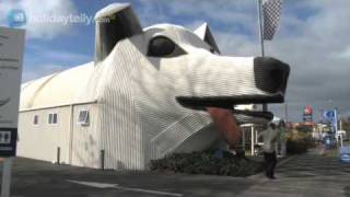 preview picture of video 'Car Hire New Zealand: Tirau Corrugated Iron Sculptures'