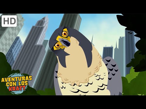 Criaturas de la ciudad | Halcones, palomas + más! [episodios completos] Aventuras con los Kratt