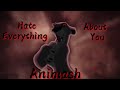 Animash Hate Everything About You