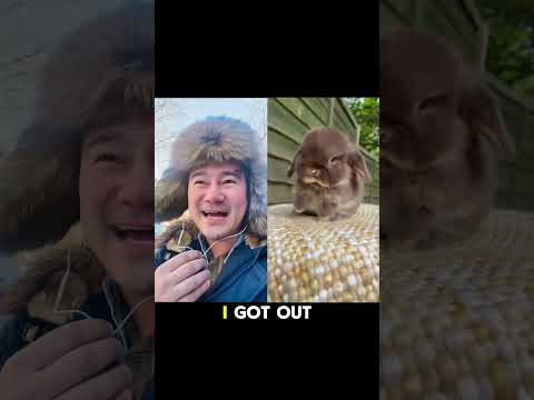 What you needed to hear today. #cuteanimals #mentalhealth #dems