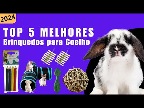 Top 5 Melhores Brinquedos para Coelho de 2024