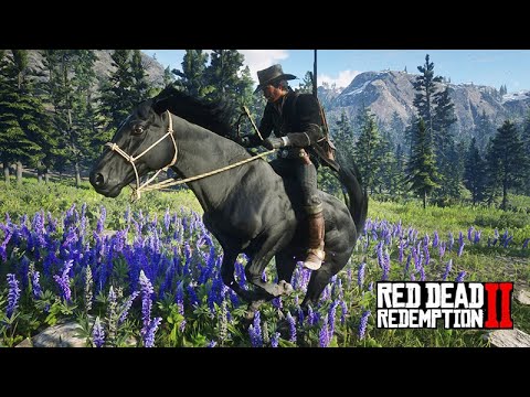 Domando o CORCEL NEGRO - Red Dead Redemption 2
