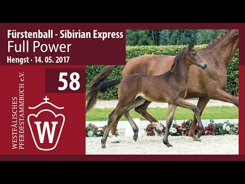 58 Full Power  Hengst v. Fürstenball - Sibirian Express