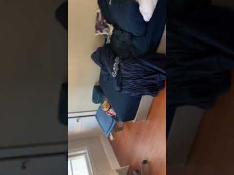65 Foster St #1A Boston MA 02135 property video