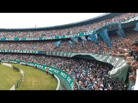 Coritiba 3 x 2 Fluminense - Atmosfera da arquibancada na partida