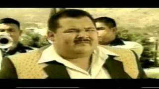 Video Árboles De La Barranca de El Coyote