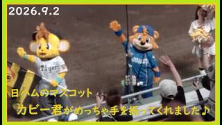 [2026.9.2] ガルシア選手の逆転2ラン、嶋村選手の決勝2点Tツーベース＆石井投手1回無失点で勝利した、試合終了後のコラッキー！ ＠SGLスタジアム～内野指定席(3塁)視点～ 【阪神タイガース】