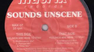 Kevin Elliot ‎Sounds Unscene  ‎– Feelings Are Here To Stay (Perhaps Mix)