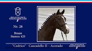 Video koně Cedrico