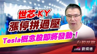 世芯-KY漲停拼過壓，Tesla概念股即將發動！｜台股攻略｜劉烱德 (圖)