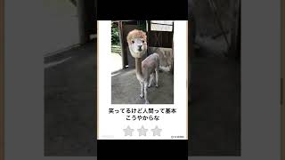 ボケて殿堂入りにアフレコしてみたwww⑥ #ゲーム実況 #ボケて殿堂入り #ボケて
