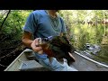 New spot had some big bream!! (Florida rebreast fishing)
