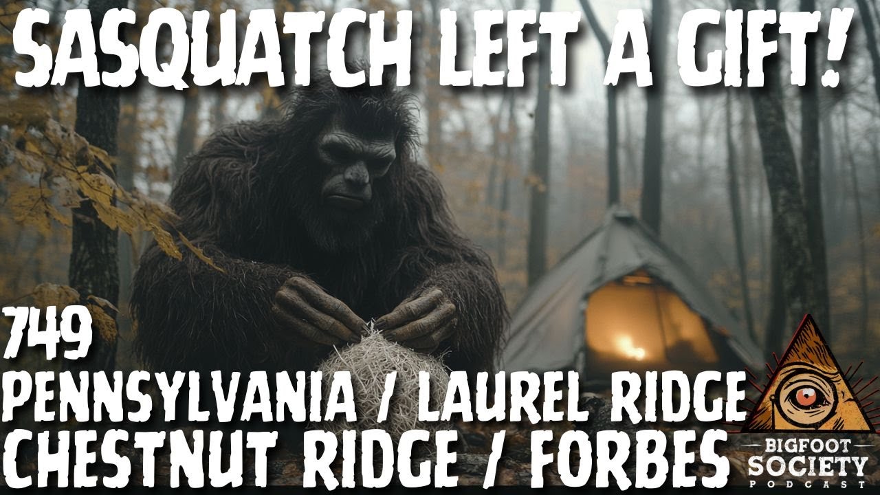 A Bird’s Nest, Broken Trees, and the Sasquatch That Watched Her